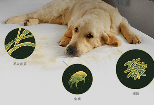 大發(fā)寶家居 | 春夏季節(jié)，如何對(duì)付蠢蠢欲動(dòng)的螨蟲？請(qǐng)接招
